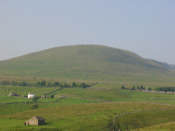 253.jpg